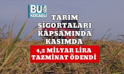 Tarım Sigortaları Kapsamında Kasımda 4,2 Milyar Lira Tazminat Ödendi