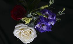 Türkiye'den Yılbaşı İçin Kaç Milyon Dolarlık Çiçek İhracatı Yapıldı?