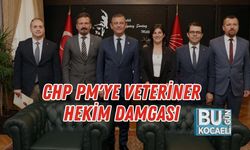 CHP PM'ye Veteriner Hekim Damgası