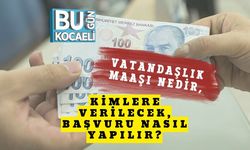 Vatandaşlık Maaşı Nedir, Kimlere Verilecek, Başvuru Nasıl Yapılır?