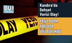 Kandıra’da Dehşet Verici Olay! Yaşlı Adam Tarlada Ölü Bulundu