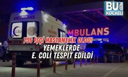 736 İşçi Hastanelik Oldu: Yemeklerde E. Coli Tespit Edildi