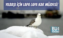 Yılbaşı İçin Lapa Lapa Kar Müjdesi!