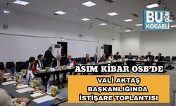 Asım Kibar OSB’de Vali Aktaş Başkanlığında İstişare Toplantısı