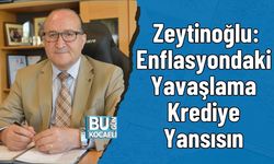 Zeytinoğlu: Enflasyondaki Yavaşlama Krediye Yansısın