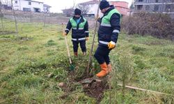 Başiskele’de Yeşil Gelecek İçin Yeni Adımlar