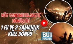 Köy Yangını Felakete Dönüştü: 1 Ev ve 2 Samanlık Küle Döndü