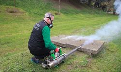 Büyükşehir’den Sivrisinek ve Karasineğe Karşı Yoğun Mücadele