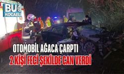 Otomobil Ağaca Çarptı, 2 Kişi Feci Şekilde Can Verdi