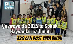 Çayırova’da 2025’te Sokak Hayvanlarına Umut: 328 Can Dost Yuva Buldu