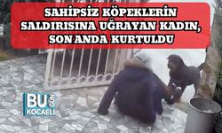 Sahipsiz Köpeklerin Saldırısına Uğrayan Kadın Son Anda Kurtuldu