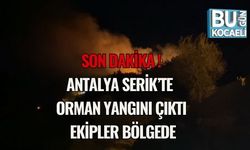 Son Dakika | Antalya Serik’te Orman Yangını Çıktı: Ekipler Bölgede