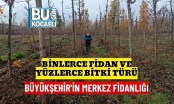 Binlerce Fidan Ve Yüzlerce Bitki Türü : Büyükşehir'in Merkez Fidanlığı