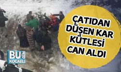 Çatıdan Düşen Kar Kütlesi Can Aldı