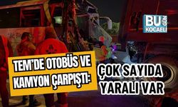 TEM’de Otobüs ve Kamyon Çarpıştı: Çok Sayıda Yaralı Var