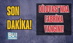 Dilovası’nda Fabrika Yangını!