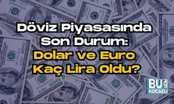 Döviz Piyasasında Son Durum: Dolar ve Euro Kaç Lira Oldu?