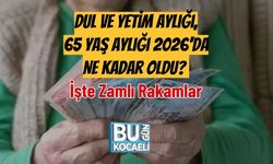 Dul ve Yetim Aylığı, 65 Yaş Aylığı 2026'da Ne Kadar Oldu? İşte Zamlı Rakamlar