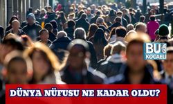 Dünya Nüfusu Ne Kadar Oldu?