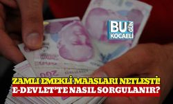 Zamlı Emekli Maaşları Netleşti: e-Devlet’te Nasıl Sorgulanır?