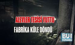 Alevler Tesisi Yuttu: Fabrika Küle Döndü