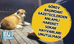 Görev Başındaki Gazetecilerden Anlamlı Hareket: Sokak Hayvanları Unutulmadı