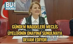 Gündem Maddeleri Meclis Üyelerinin Onayına Sunulmaya Devam Ediyor