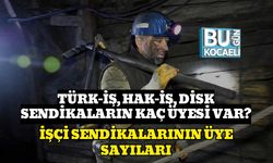 TÜRK-İŞ, HAK-İŞ, DİSK Sendikaların Kaç Üyesi Var? : İşçi Sendikalarının Üye Sayıları