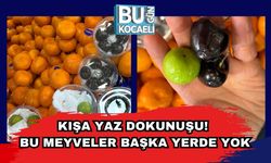 Kışa Yaz Dokunuşu! Bu Meyveler Başka Yerde Yok