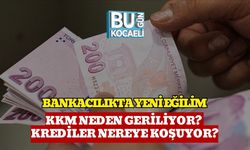 Bankacılıkta Yeni Eğilim: KKM Neden Geriliyor? Krediler Nereye Koşuyor?