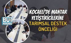 Kocaeli’de Mantar Yetiştiricilerine Tarımsal Destek Önceliği