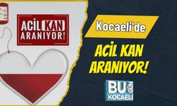 Kocaeli'de Acil Kan Aranıyor!