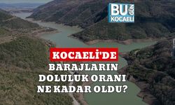 Kocaeli'de Barajların Doluluk Oranı Ne Kadar Oldu?