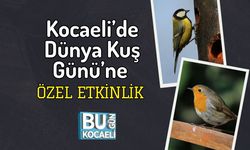Kocaeli’de Dünya Kuş Günü’ne Özel Etkinlik
