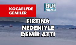 Kocaeli'de Gemiler Fırtına Nedeniyle Demir Attı