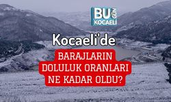 Kocaeli'de Barajların Doluluk Oranları Ne Kadar Oldu?