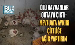 Ölü Hayvanlar Ortaya Çıktı: Mevzuata Aykırı Çiftliğe Ağır Yaptırım