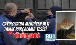 Çayırova’da Merdiven Altı Tavuk Parçalama Tesisi Mühürlendi!