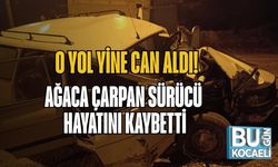 O Yol Yine Can Aldı: Ağaca Çarpan Sürücü Hayatını Kaybetti