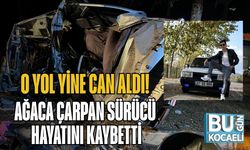 O Yol Yine Can Aldı: Ağaca Çarpan Sürücü Hayatını Kaybetti