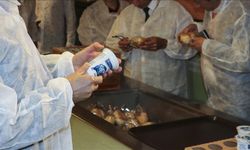 Okul Kantinlerinde Sıkı Denetim! 23 Bin 227 Kantin Kontrol Edildi