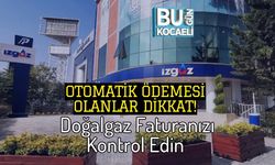 Otomatik Ödemesi Olanlar Dikkat! Doğalgaz Faturanızı Kontrol Edin