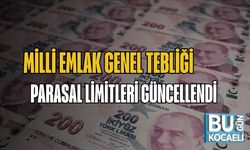 Milli Emlak Genel Tebliği Parasal Limitleri Güncellendi
