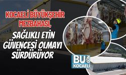 Kocaeli Büyükşehir Mezbahası, Sağlıklı Etin Güvencesi Olmayı Sürdürüyor
