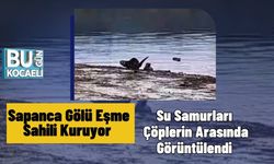 Sapanca Gölü Eşme Sahili Kuruyor: Su Samurları Çöplerin Arasında Görüntülendi