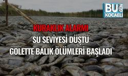 Kuraklık Alarmı: Su Seviyesi Düştü, Gölette Balık Ölümleri Başladı