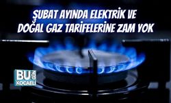Şubat Ayında Elektrik ve Doğal Gaz Tarifelerine Zam Yok