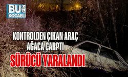 Kontrolden Çıkan Araç Ağaca Çarptı Sürücü Yaralandı