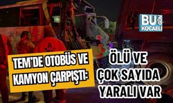 TEM’de Otobüs ve Kamyon Çarpıştı: Ölü ve  Çok Sayıda Yaralı Var