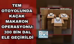 TEM Otoyolunda Kaçak Makaron Operasyonu: 300 Bin Dal Ele Geçirildi